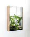 Bathroom Double Door Mirror Cabinet