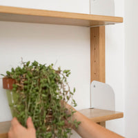 Flank Shelving System 2 Tier