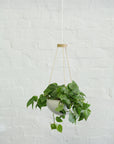 Plant Hanger - Pedersen + Lennard