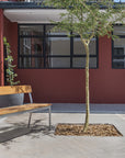 KPA Backed Wooden Bench - Pedersen + Lennard