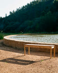 Tulbagh Bench - Riempie Seat