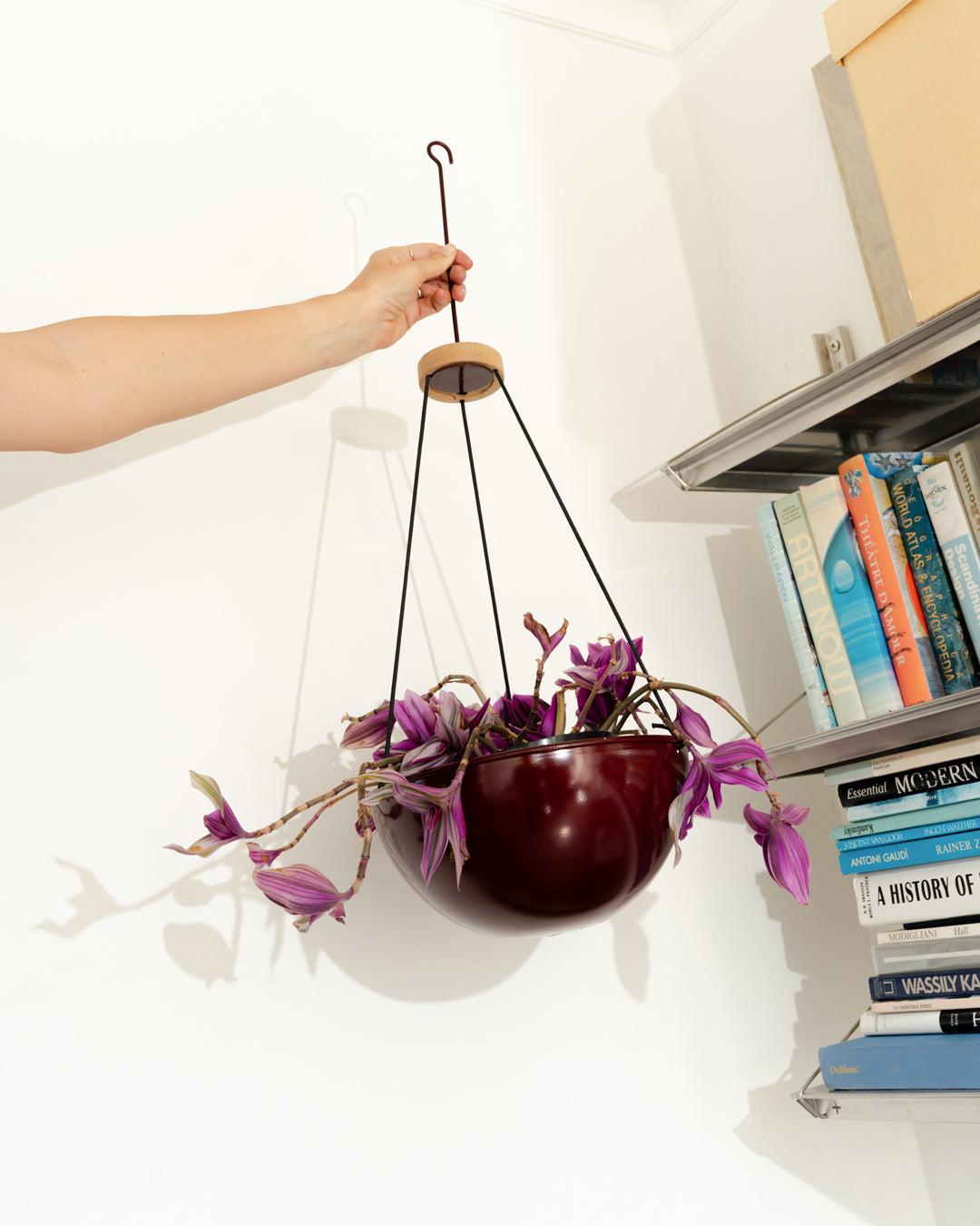 Hanging Indoor Plant Holders in Small, Medium, Or Large - Pedersen