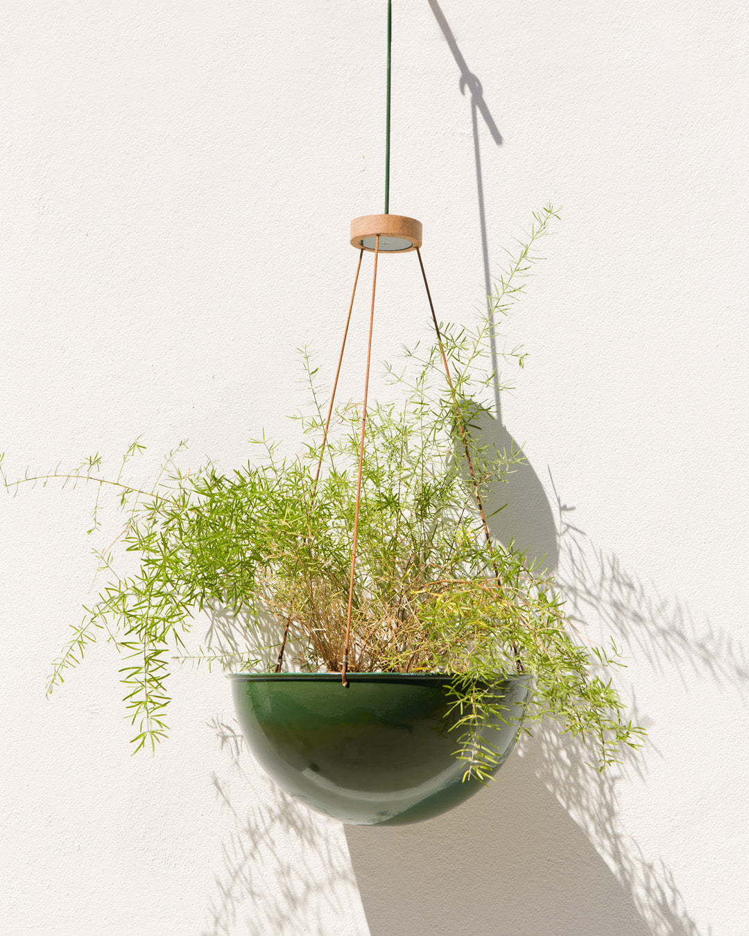Hanging Indoor Plant Holders in Small, Medium, Or Large - Pedersen