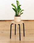 KPA Round Wooden Stool - Pedersen + Lennard