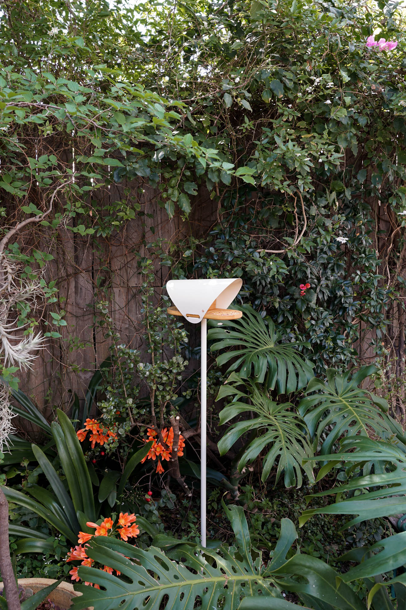 In Flight Bird Feeder - In Stock