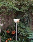 In Flight Bird Feeder - In Stock