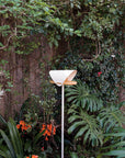 In Flight Bird Feeder - In Stock