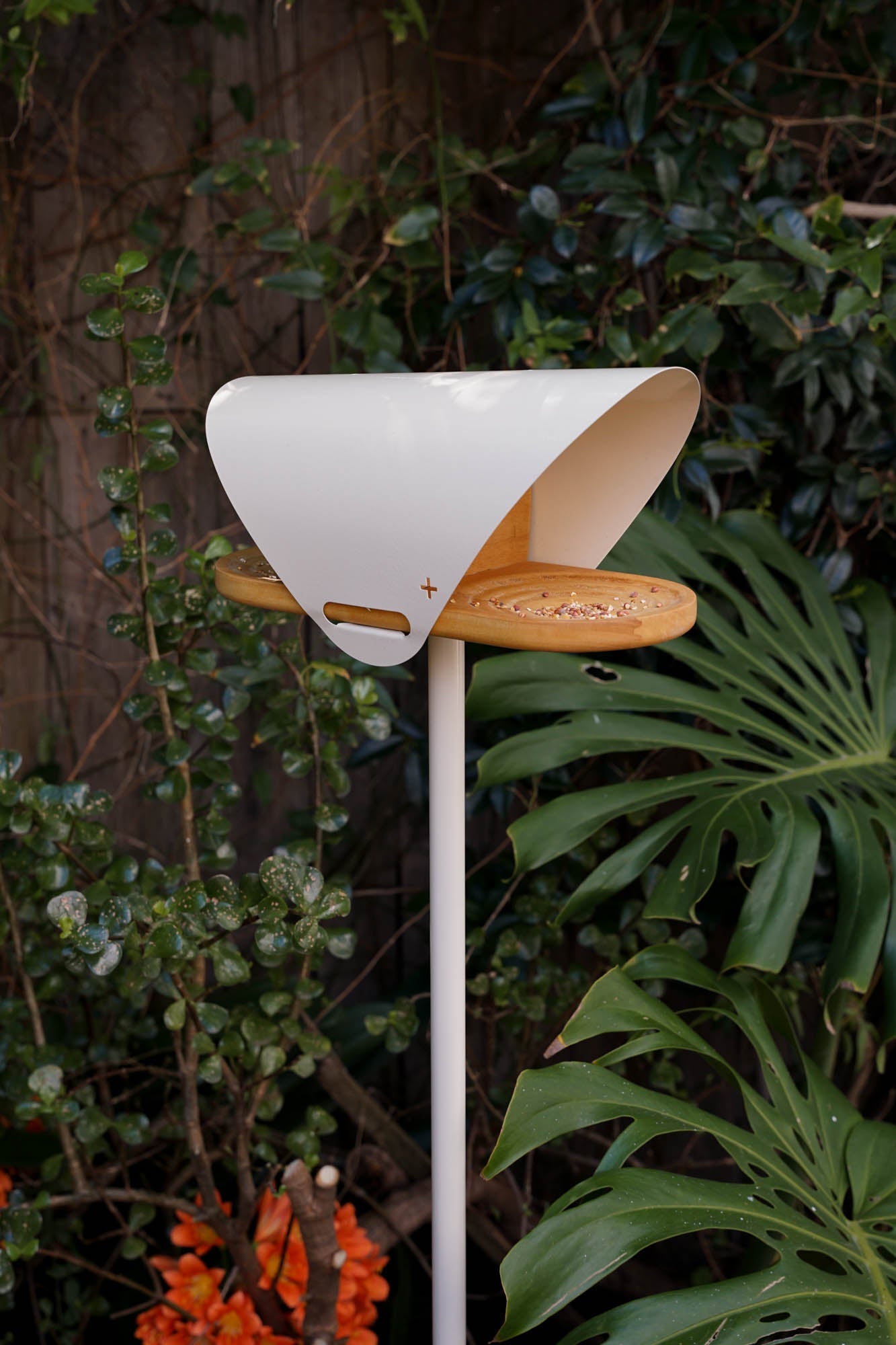 In Flight Bird Feeder - In Stock