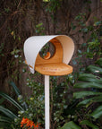 In Flight Bird Feeder - In Stock