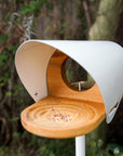 In Flight Bird Feeder - In Stock