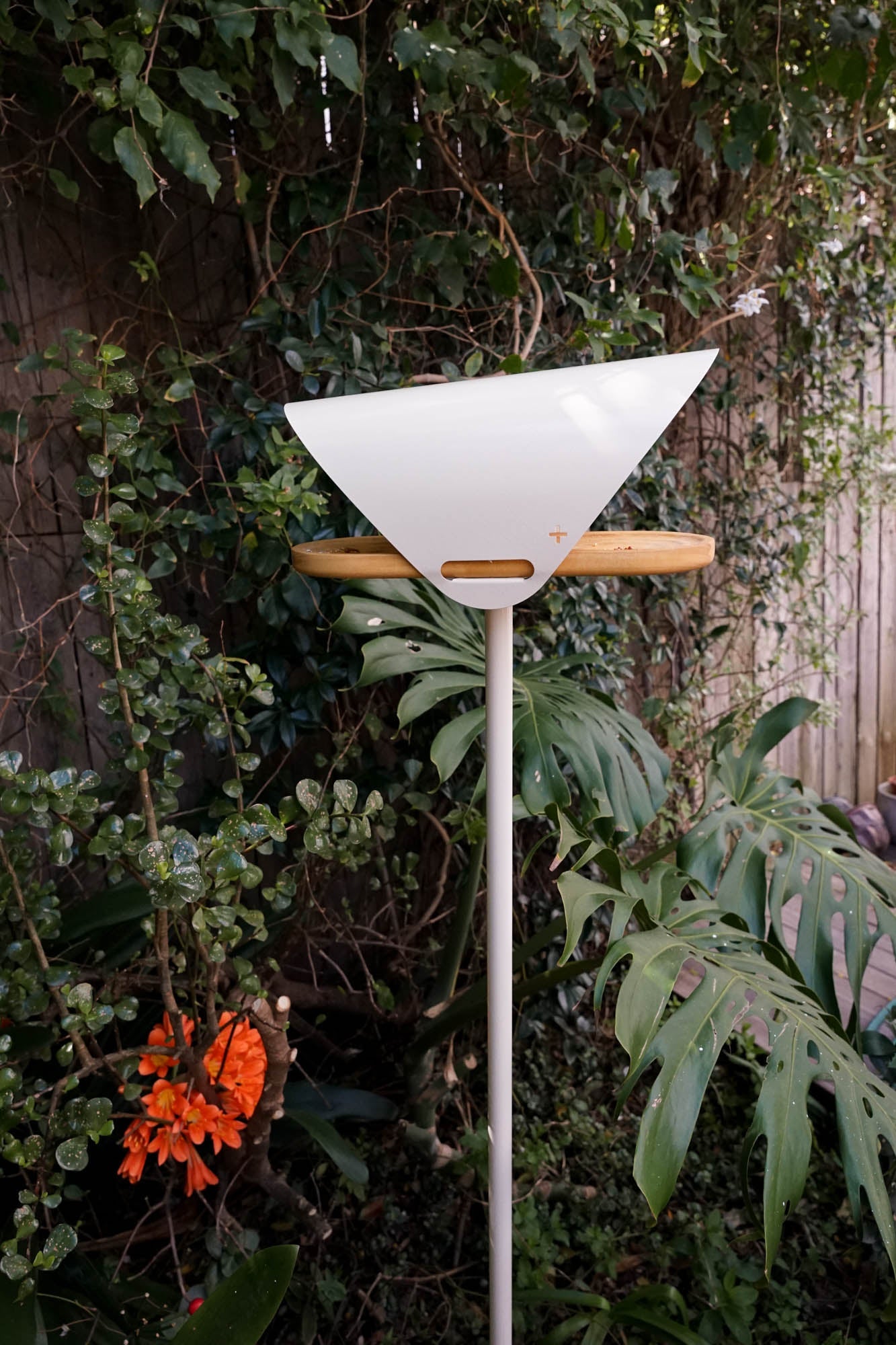 In Flight Bird Feeder - In Stock