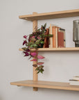 Wooden Shelves - Escarpment wooden wall-mounted shelving - Pedersen + Lennard