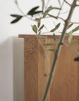 Chest of Drawers - Pedersen and Lennard