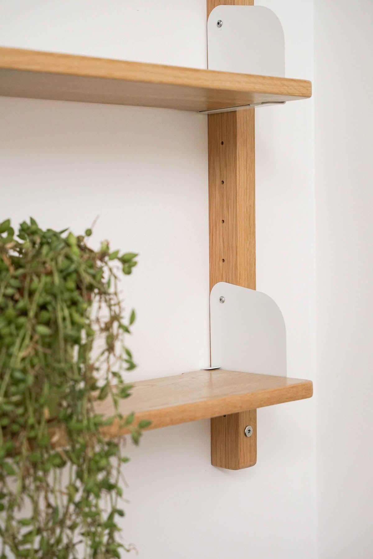 Flank Shelving - Pedersen + Lennard