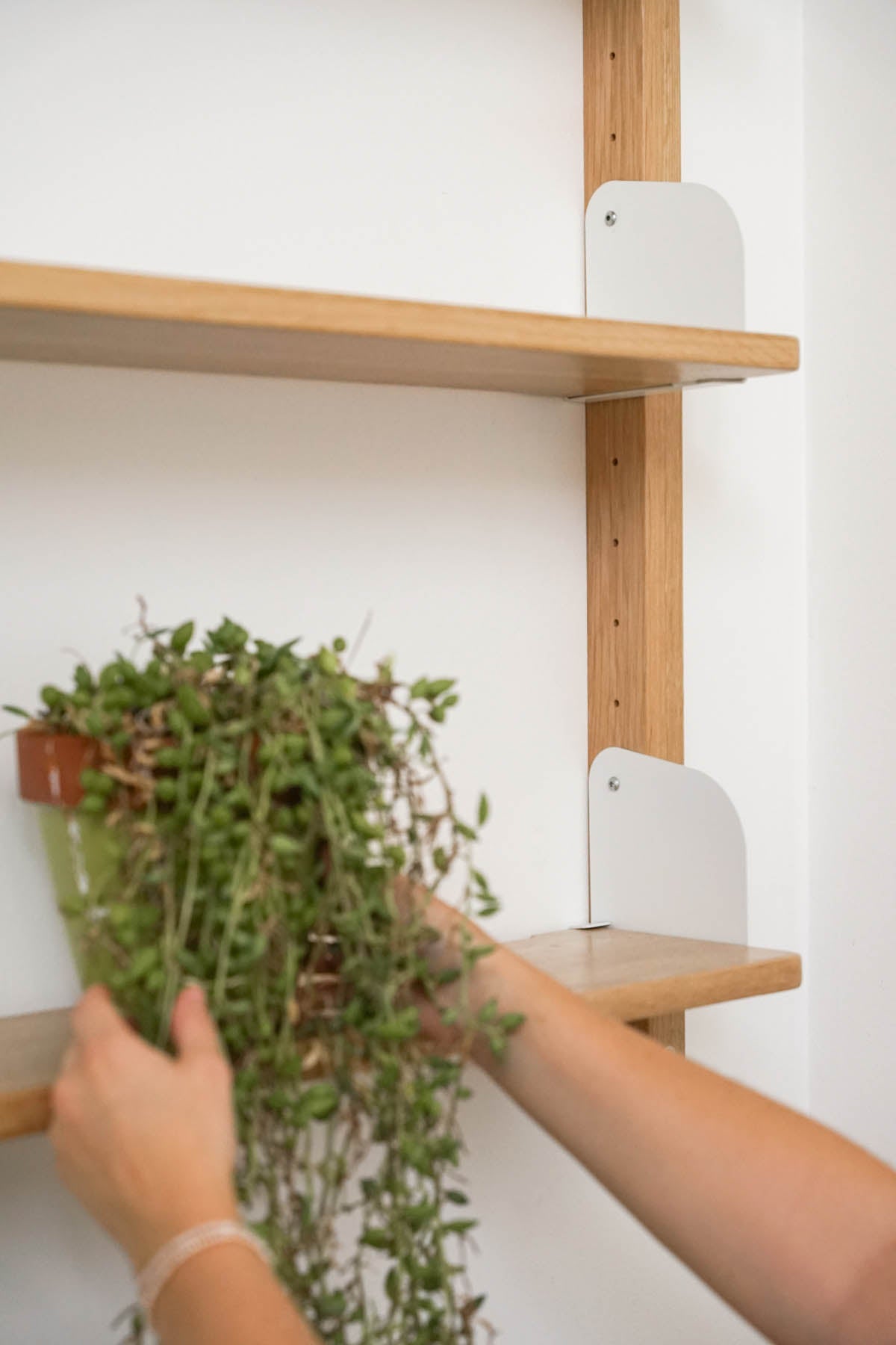 Flank Shelving System 5 Tier - Pedersen + Lennard