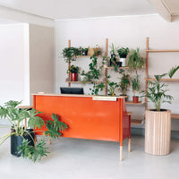 Wooden Firenze Reception Desk - Pedersen + Lennard