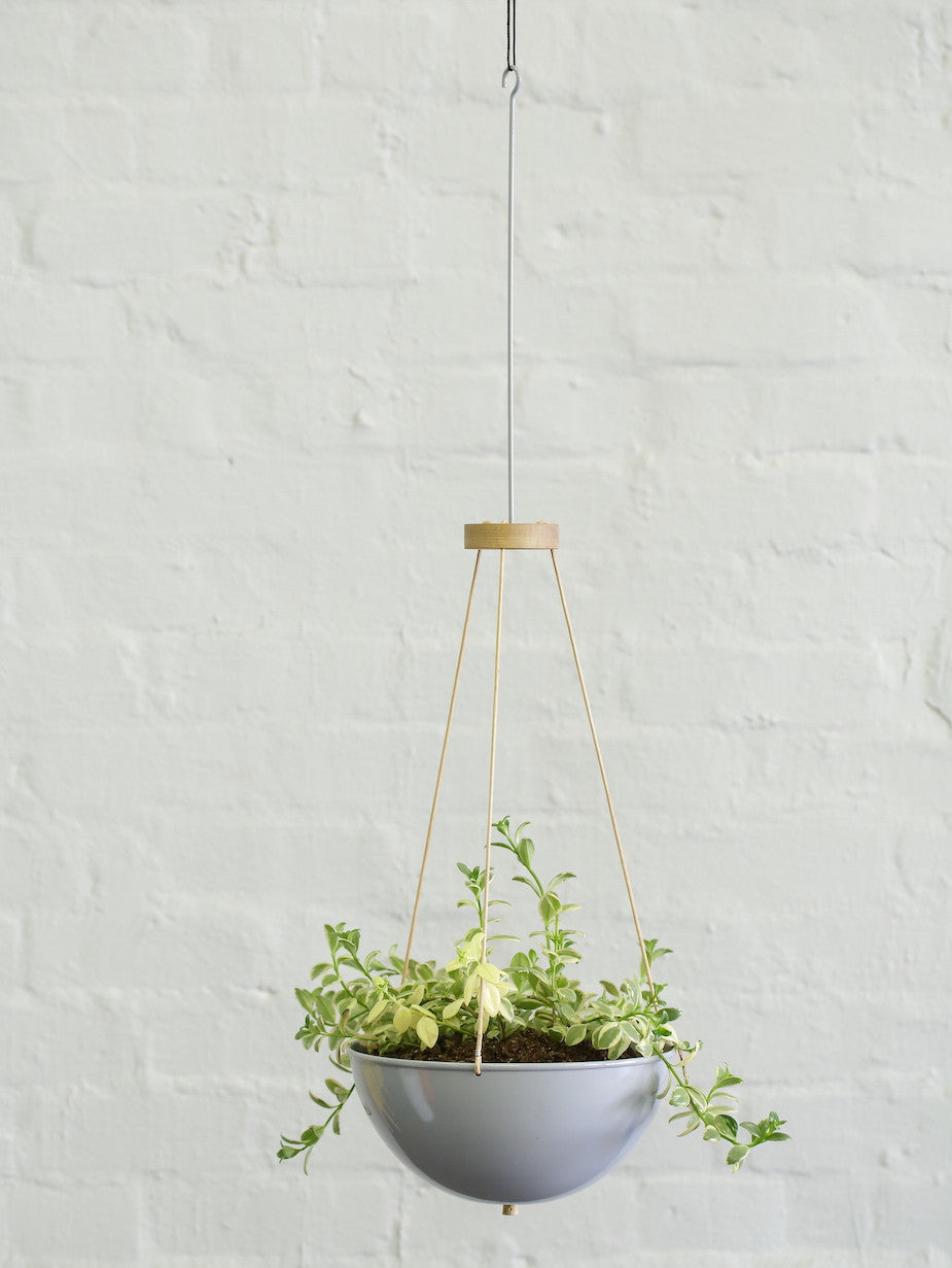 Plant Hanger - Pedersen + Lennard