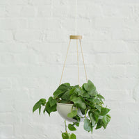 Plant Hanger - Pedersen + Lennard