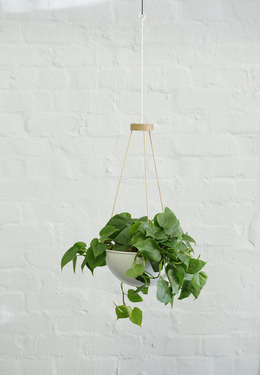 Plant Hanger - Pedersen + Lennard
