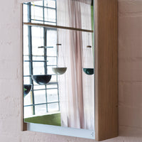 Bathroom Mirror Cabinet - Designer Furniture South Africa - Pedersen + Lennard