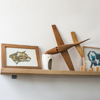 Picture Rail Shelves - Pedersen + Lennard