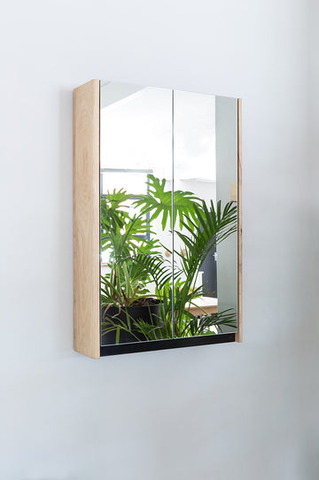 Bathroom Double Door Mirror Cabinet - Pedersen and Lennard